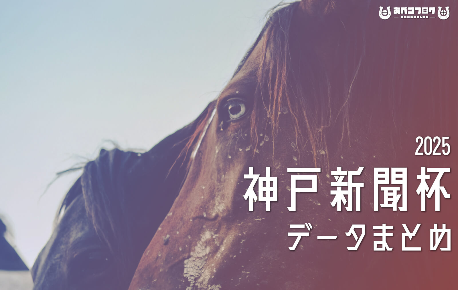 神戸新聞杯2025データまとめアイキャッチ