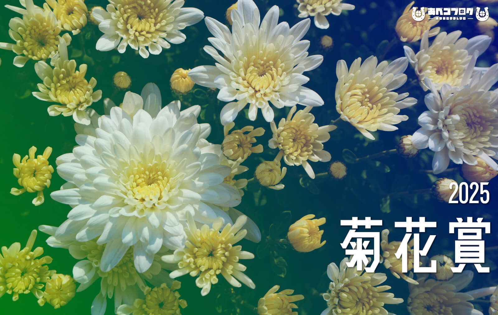菊花賞2025予想アイキャッチ画像